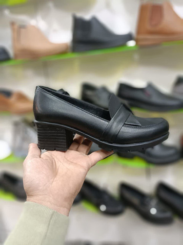 کالج زنانه ی طبی مجلسی اداری با زیره ی پی یو کد 2193 با ارسال رایگان