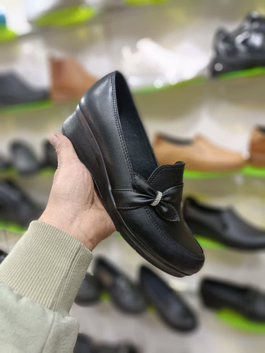 کالج زنانه ی طبی مجلسی اداری با زیره ی پی یو کد 2195 با ارسال رایگان